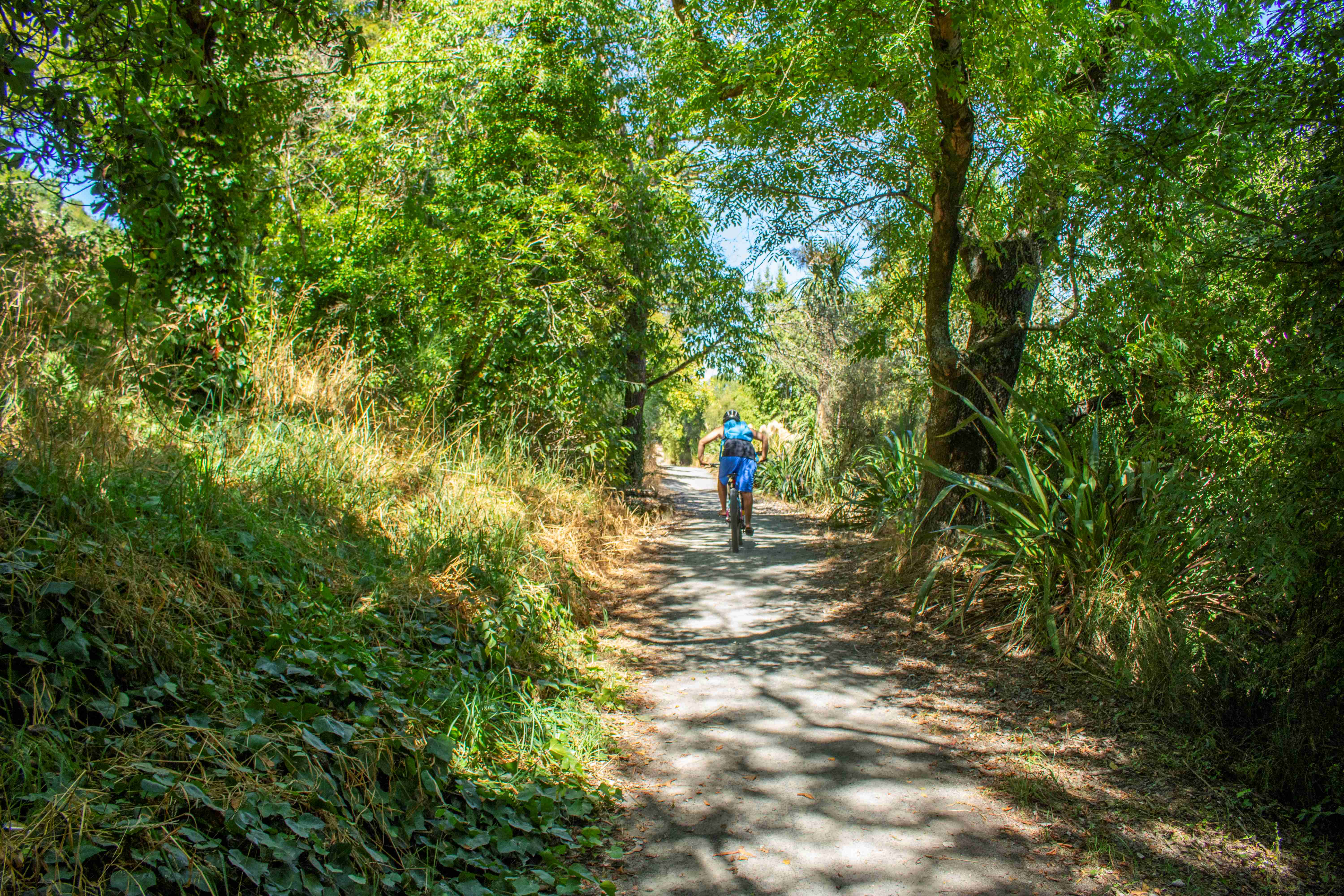 Otipua Creek thumb