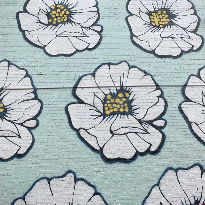 Street art Mount Cook Lily