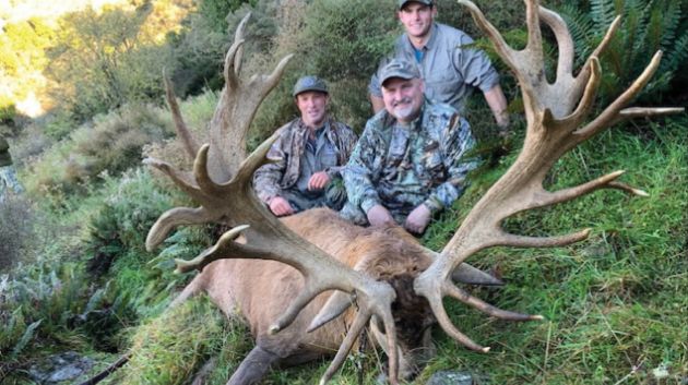 Red Stag hunting NZ