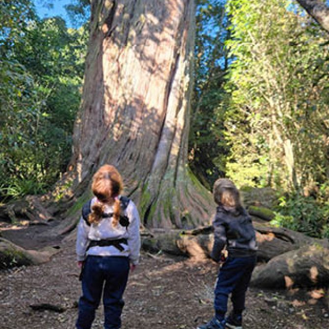 Kids at Peel Forest big Tree