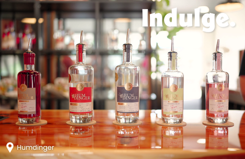 Indulge 1