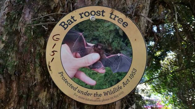 Bat tree signage