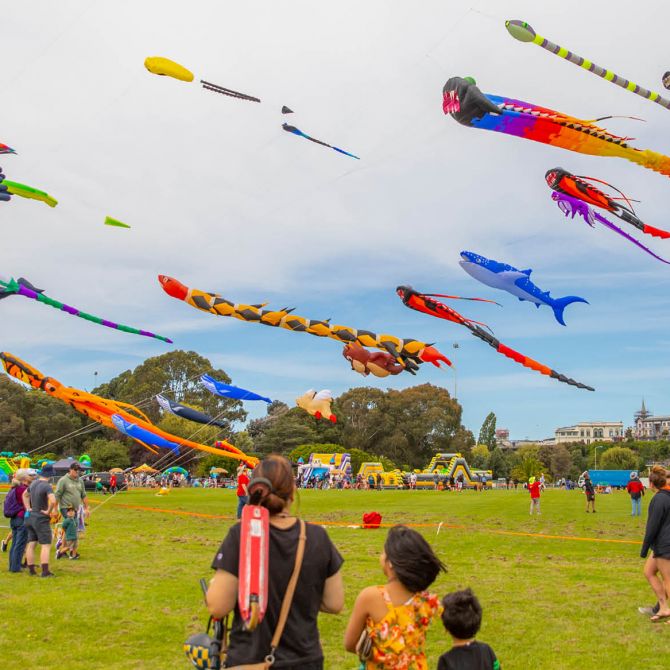 Seaside festival kite day