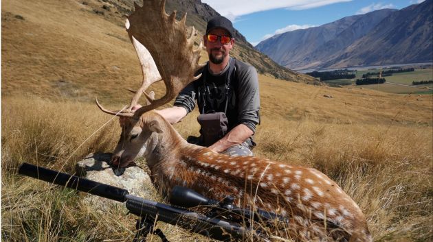 Fallow Buck Hunting 