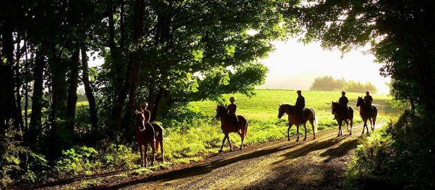 Peel Forest Horse Trek