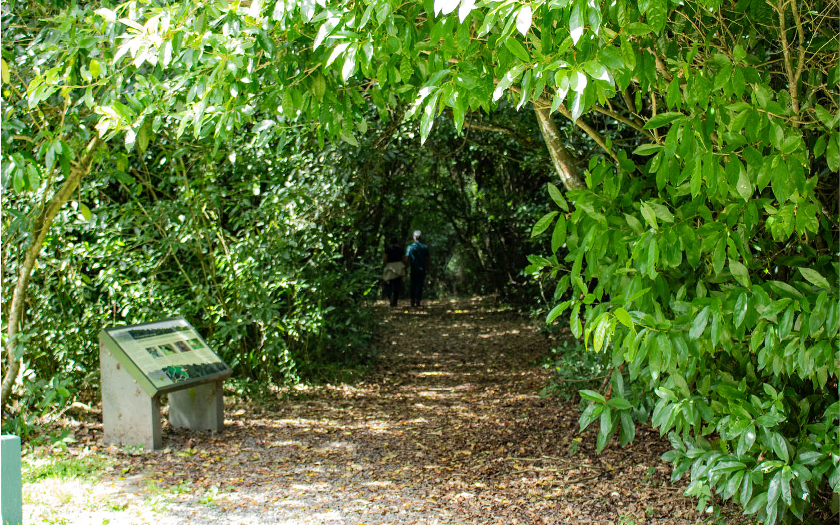 Couple walking in Talbot Forest, Geraldine