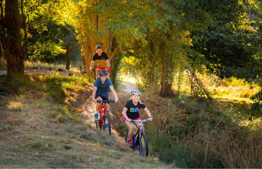 Family bike