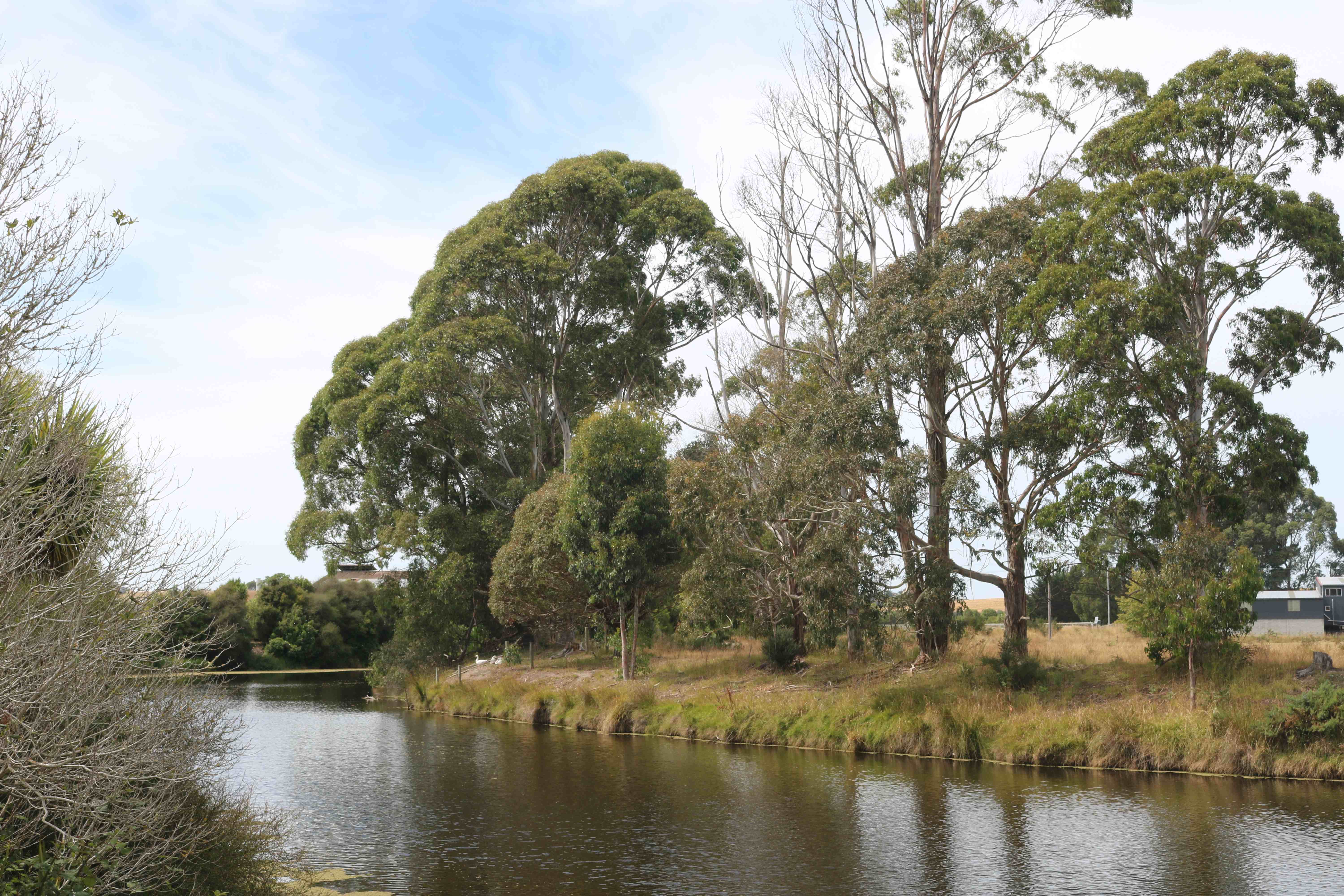 Saltwater Creek thumbnail