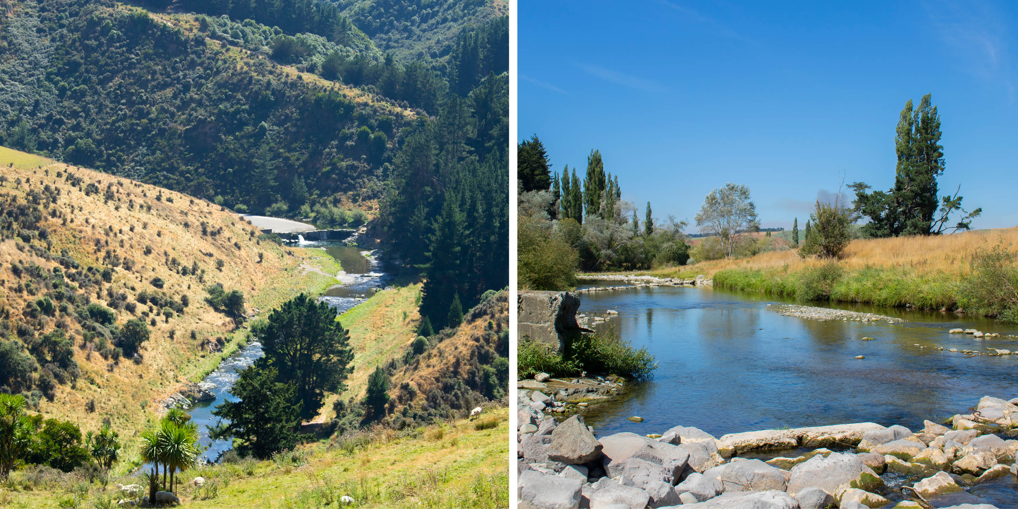 Pareora River footer